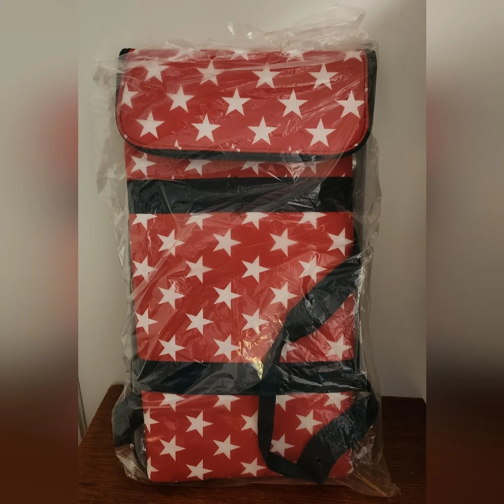California Innovations 2 Pack Thermal Carrier NWT